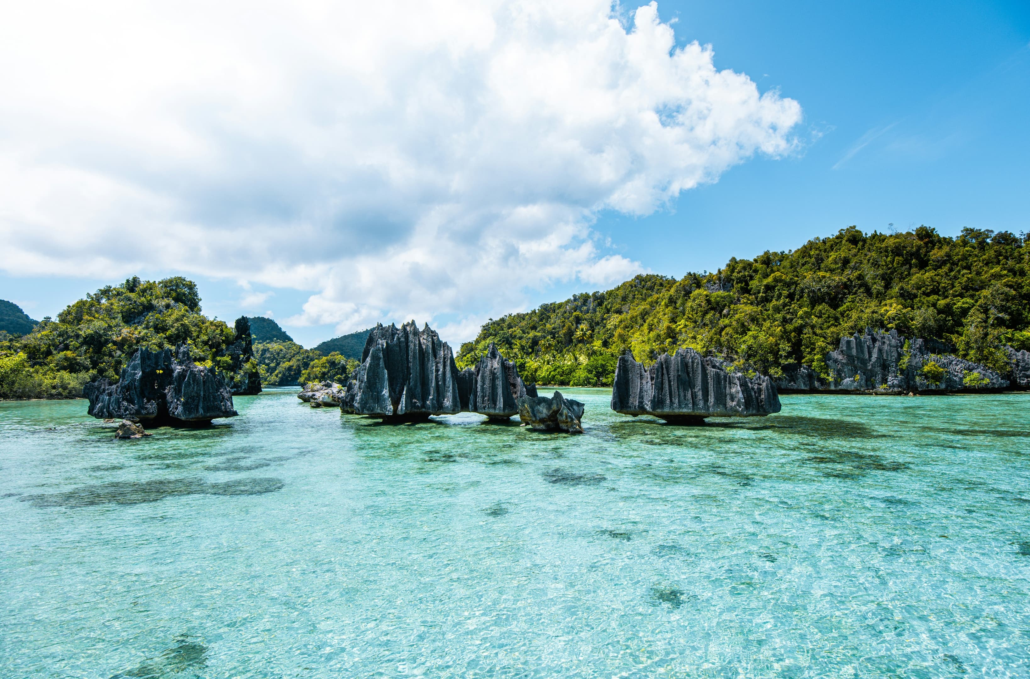 Frontier_Yachting_Indonesia_1.jpg