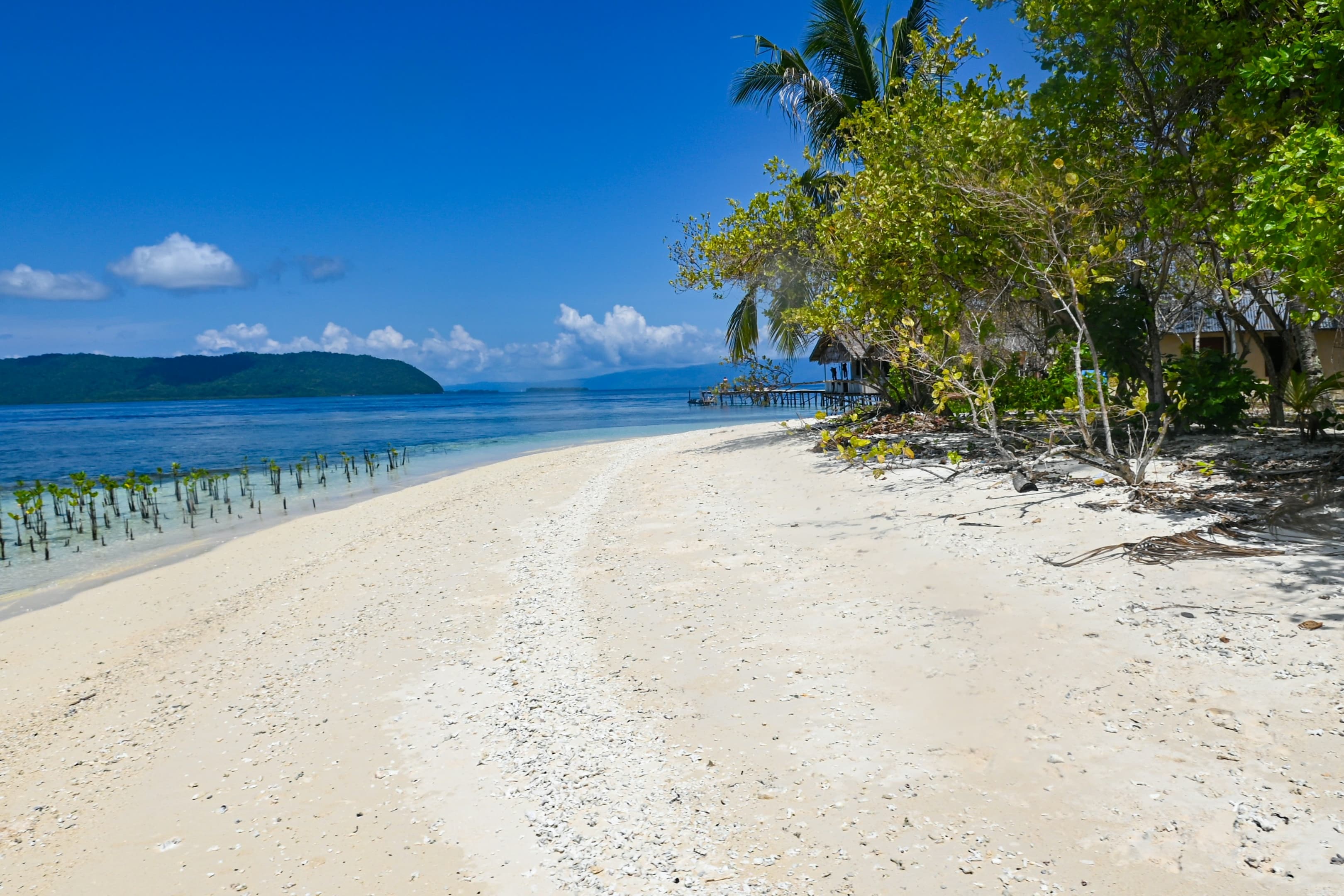 Frontier_Yachting_Indonesia_2.jpg