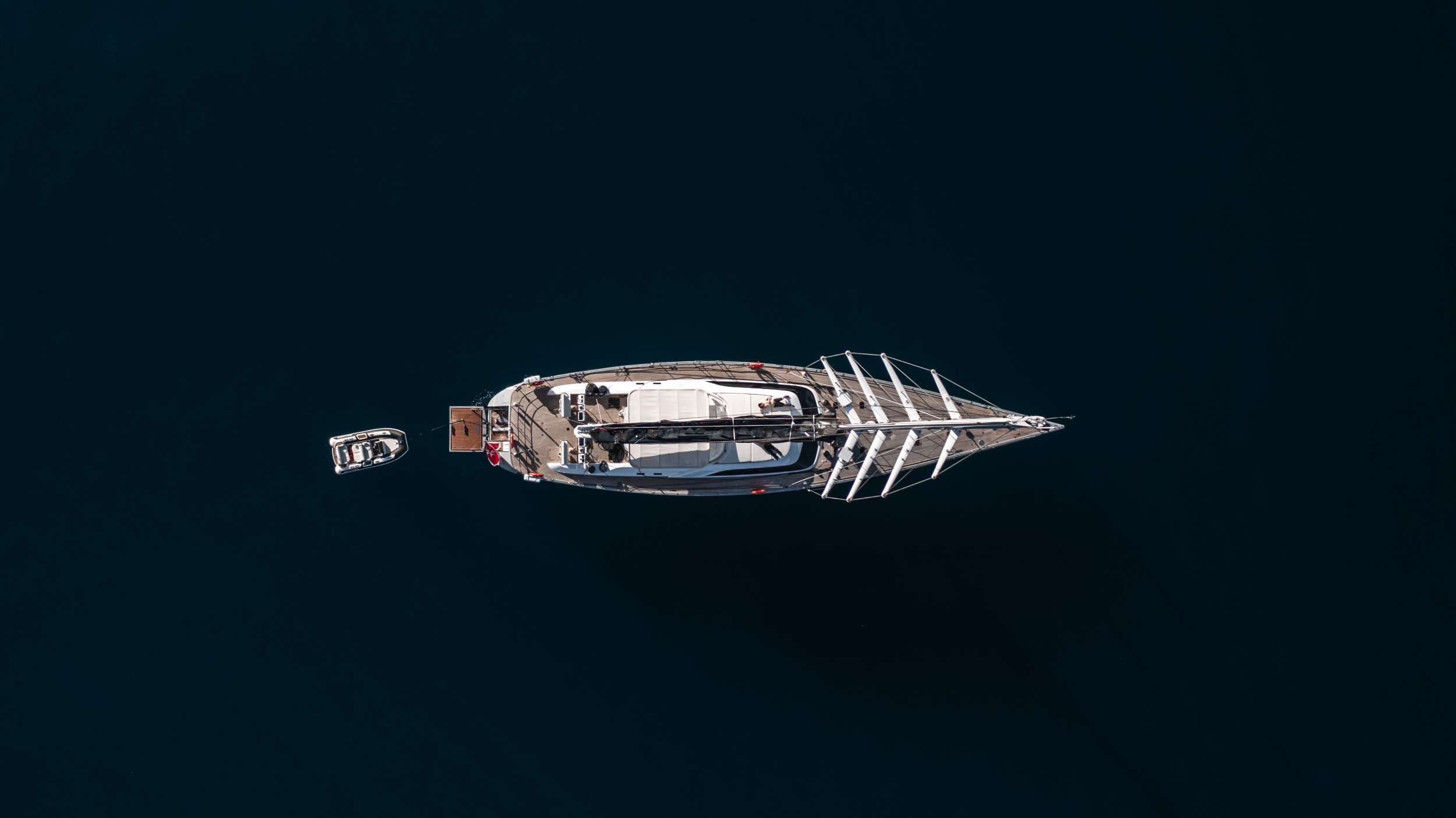L HIPPOCAMPE - Image 5